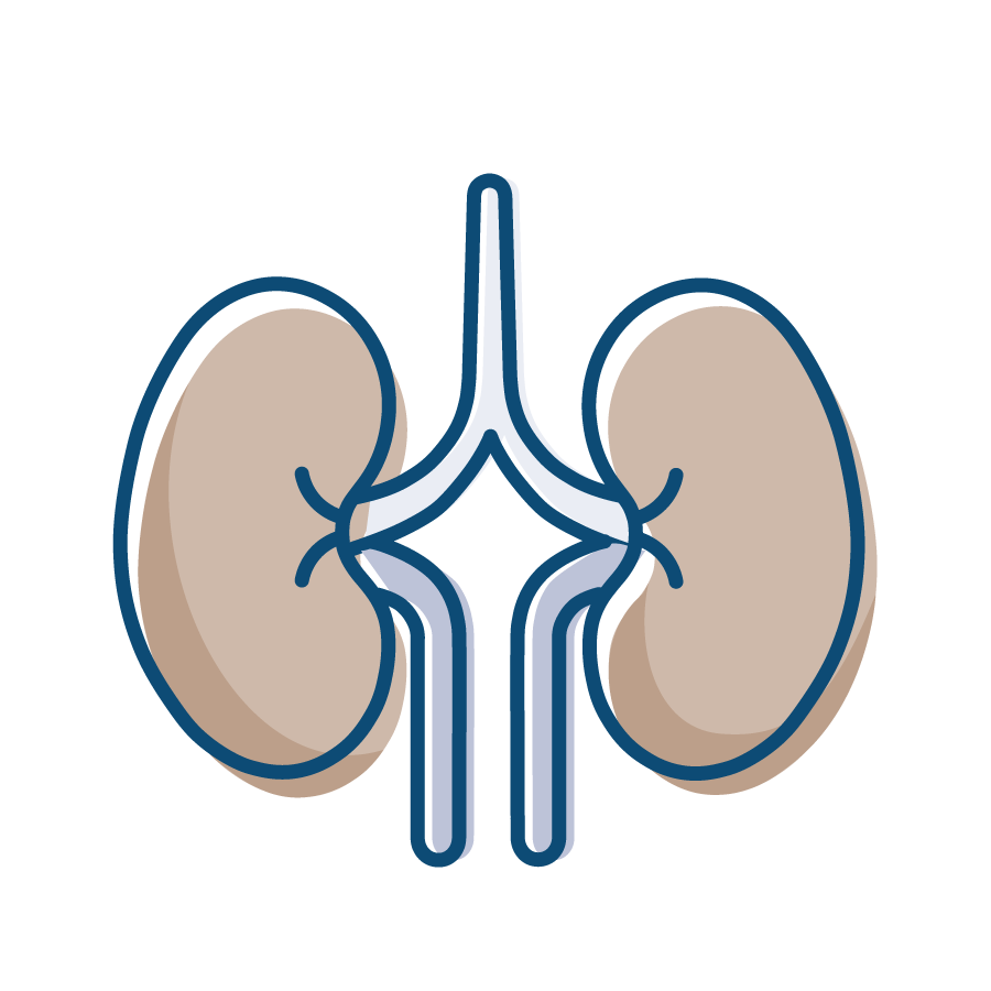 home icon kidney 202110 2